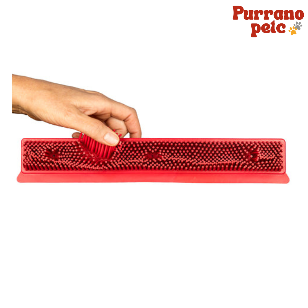 Purrano Petc